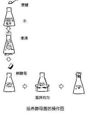 丁香实验推荐阅读