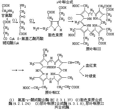 丁香实验推荐阅读