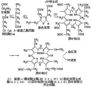 丁香实验推荐阅读