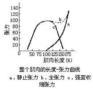 丁香实验推荐阅读