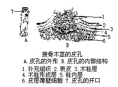 丁香实验推荐阅读