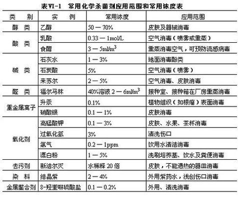 丁香实验推荐阅读