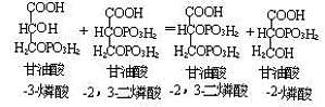 丁香实验推荐阅读