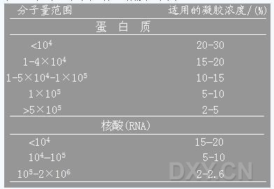 丁香实验推荐阅读