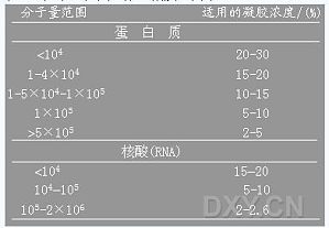 丁香实验推荐阅读