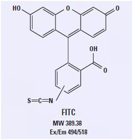 丁香实验推荐阅读