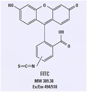 丁香实验推荐阅读