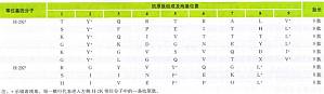 丁香实验推荐阅读