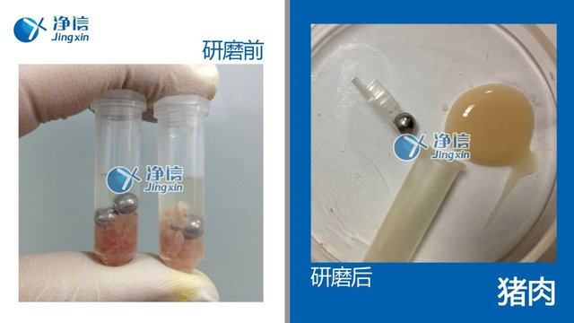 丁香实验推荐阅读