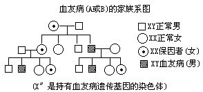 丁香实验推荐阅读