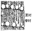 丁香实验推荐阅读