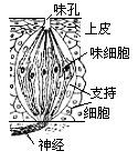 丁香实验推荐阅读