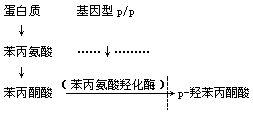 丁香实验推荐阅读