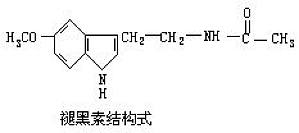 丁香实验推荐阅读