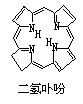 丁香实验推荐阅读