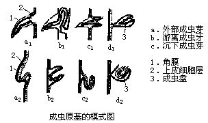 丁香实验推荐阅读