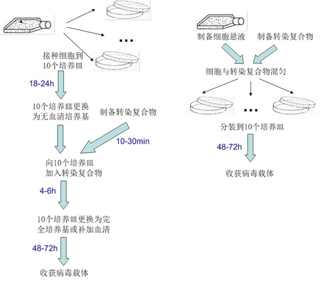 丁香实验推荐阅读