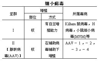 丁香实验推荐阅读