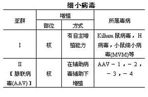 丁香实验推荐阅读