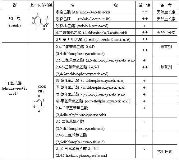 丁香实验推荐阅读