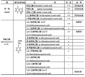 丁香实验推荐阅读