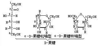 丁香实验推荐阅读