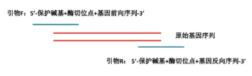 丁香实验推荐阅读