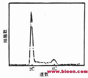 丁香实验推荐阅读