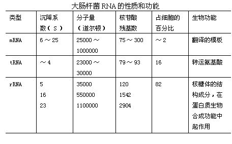 丁香实验推荐阅读