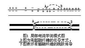 丁香实验推荐阅读