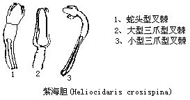 丁香实验推荐阅读