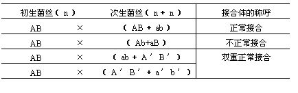 丁香实验推荐阅读