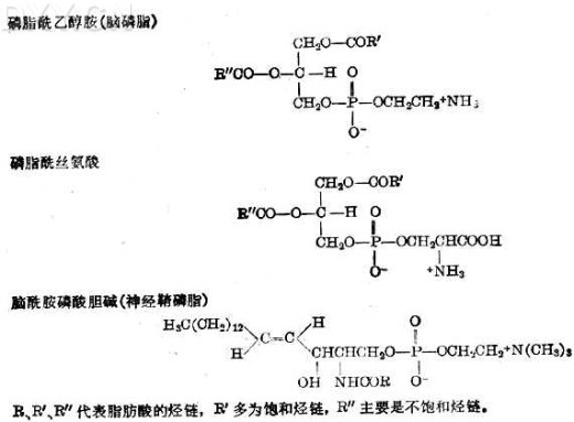 丁香实验推荐阅读