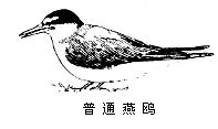 丁香实验推荐阅读