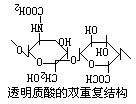 丁香实验推荐阅读