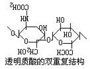 丁香实验推荐阅读