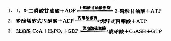 丁香实验推荐阅读