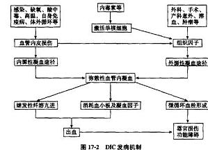 丁香实验推荐阅读