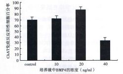 丁香实验推荐阅读