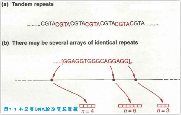 丁香实验推荐阅读