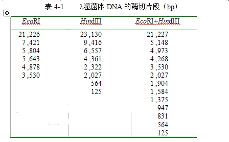 丁香实验推荐阅读