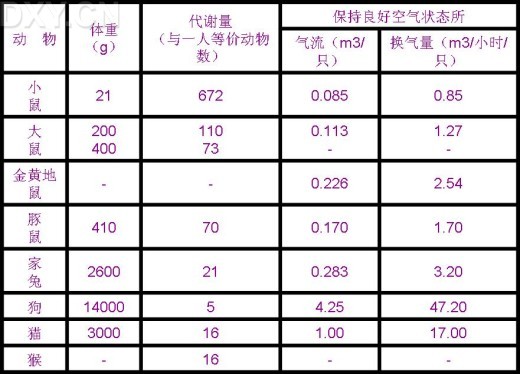 丁香实验推荐阅读