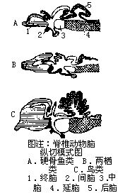 丁香实验推荐阅读