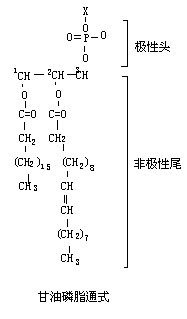 丁香实验推荐阅读