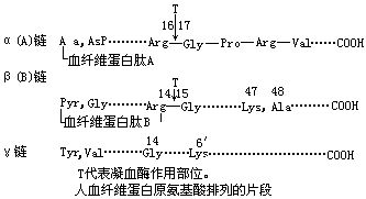 丁香实验推荐阅读