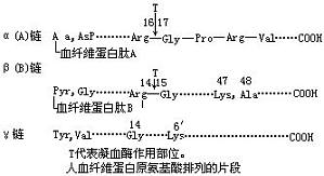 丁香实验推荐阅读