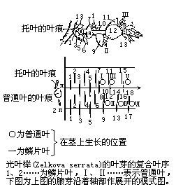 丁香实验推荐阅读