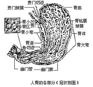 丁香实验推荐阅读