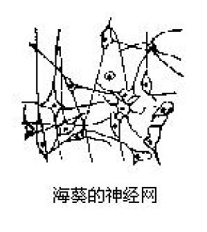 丁香实验推荐阅读