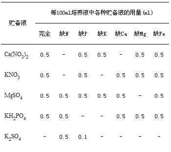 丁香实验推荐阅读